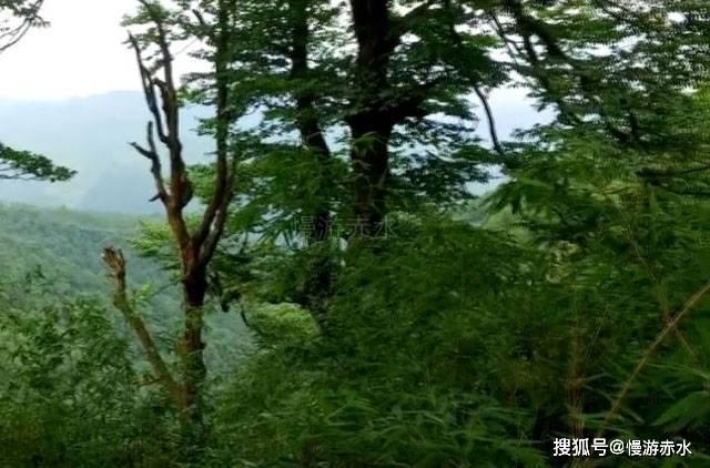 海产大王2中文版